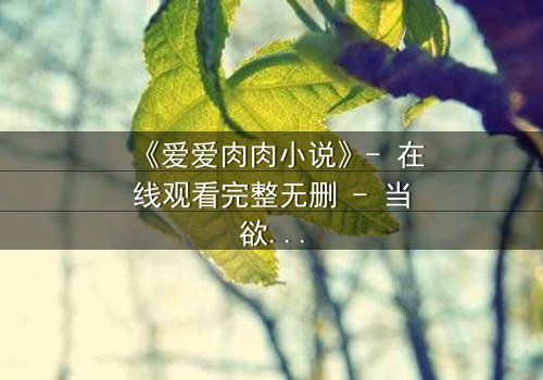 《爱爱肉肉小说》- 在线观看完整无删 - 当欲望与真爱碰撞,谁将胜出?